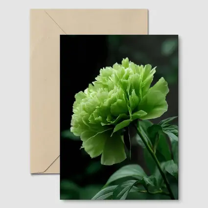 Green Peony Flower Dark Botanical Background