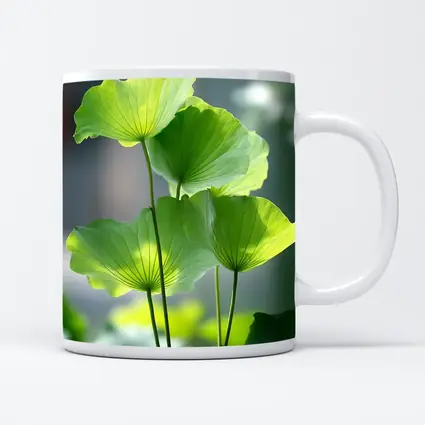 Lotus Leaves Green Light Soft Background