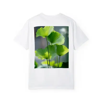 Lotus Leaves Green Light Soft Background