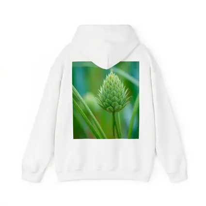 Green Allium Bud Soft Bokeh Background