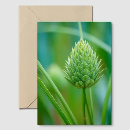 Green Allium Bud Soft Bokeh Background