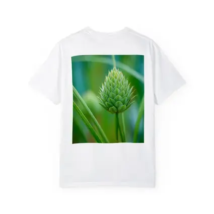 Green Allium Bud Soft Bokeh Background