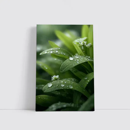Green Leaves With Dew Drops Close Up