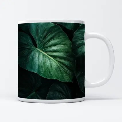 Dark Green Tropical Elephant Ear Leaves