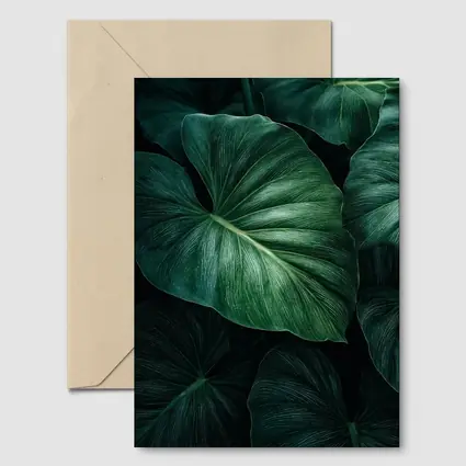 Dark Green Tropical Elephant Ear Leaves