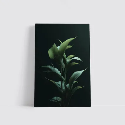 Dark Green Tropical Plant Black Background