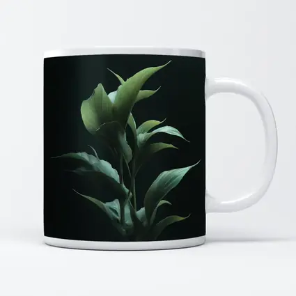 Dark Green Tropical Plant Black Background