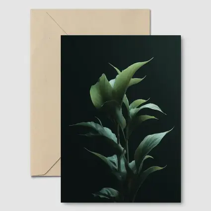 Dark Green Tropical Plant Black Background