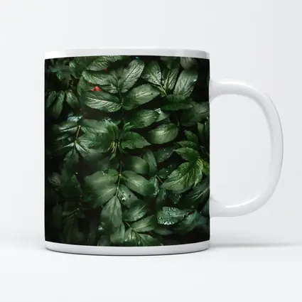 Dark Green Wet Leaves Nature Close Up
