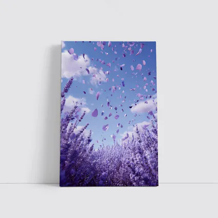 Lavender Petals Flying Blue Sky Above