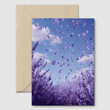 Lavender Petals Flying Blue Sky Above