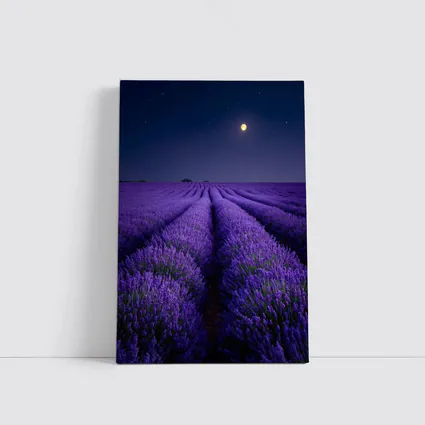 Lavender Field Full Moon Night Sky