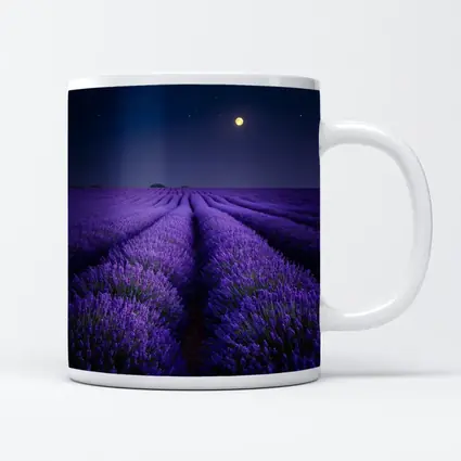 Lavender Field Full Moon Night Sky
