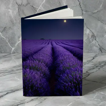 Lavender Field Full Moon Night Sky