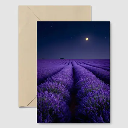 Lavender Field Full Moon Night Sky