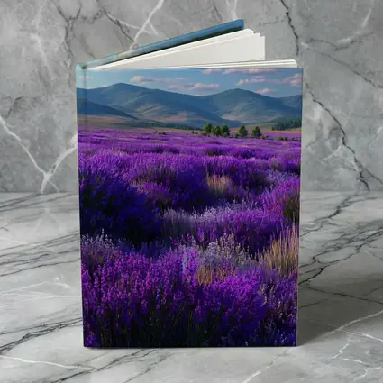 Purple Lavender Field Mountains Blue Sky