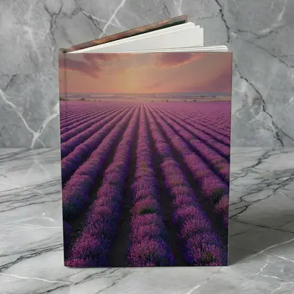 Lavender Field Rows At Sunset Sky