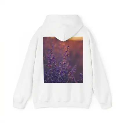 Purple Lavender Field Golden Sunset Glow