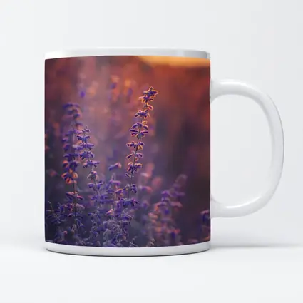 Purple Lavender Field Golden Sunset Glow