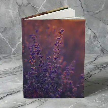 Purple Lavender Field Golden Sunset Glow