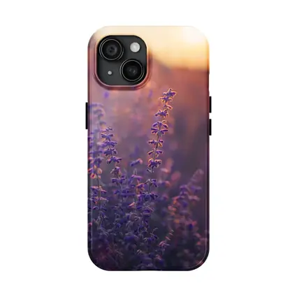 Purple Lavender Field Golden Sunset Glow