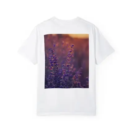 Purple Lavender Field Golden Sunset Glow