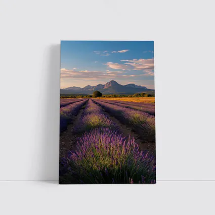 Lavender Fields With Mountain Backdrop Sunset