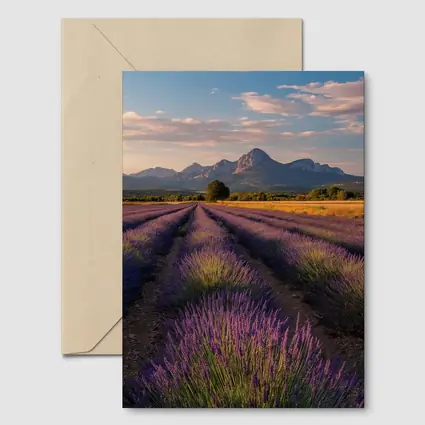 Lavender Fields With Mountain Backdrop Sunset