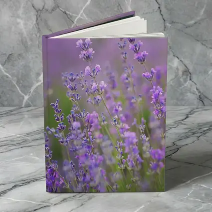 Lavender Flowers Purple Field Soft Light