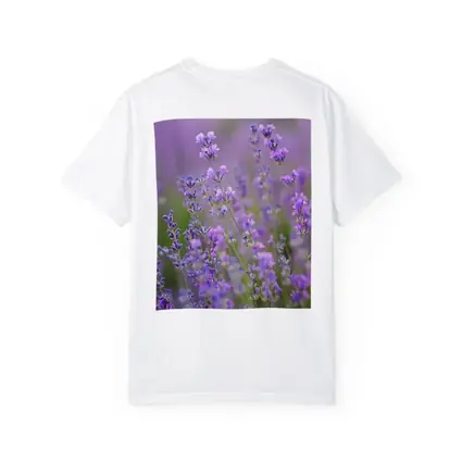 Lavender Flowers Purple Field Soft Light