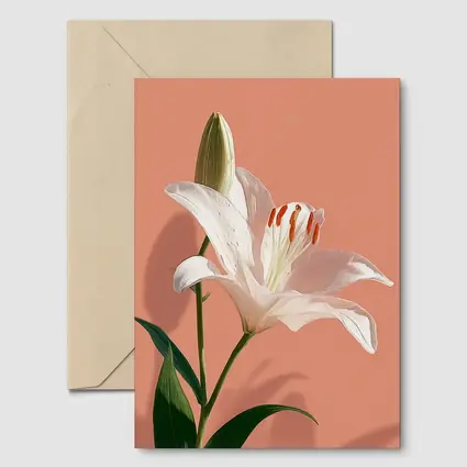White Lily Flower Soft Peach Background