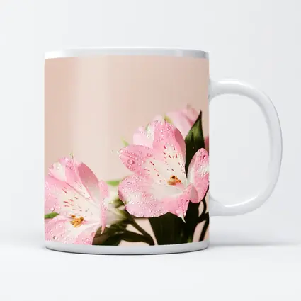Pink Alstroemeria Flowers Soft Blush Background