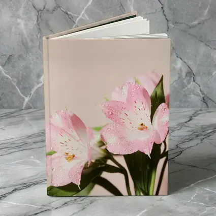 Pink Alstroemeria Flowers Soft Blush Background