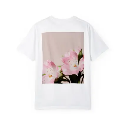 Pink Alstroemeria Flowers Soft Blush Background