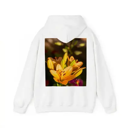 Orange Lily Flowers Blooming Garden Background