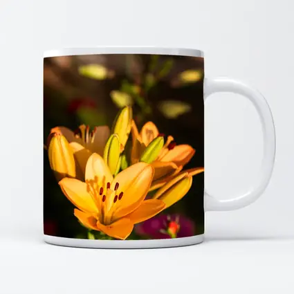 Orange Lily Flowers Blooming Garden Background