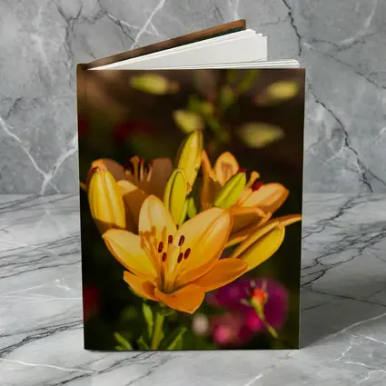 Orange Lily Flowers Blooming Garden Background