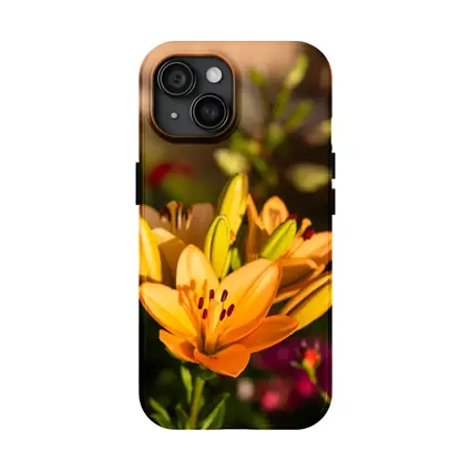 Orange Lily Flowers Blooming Garden Background