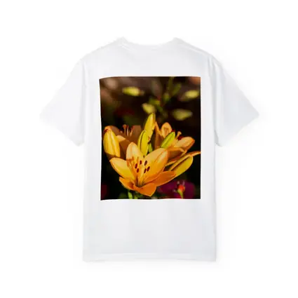 Orange Lily Flowers Blooming Garden Background
