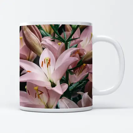 Pink Lily Flowers Close Up Dark Background