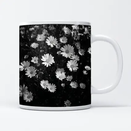 Black and White Daisy Field Floral Art