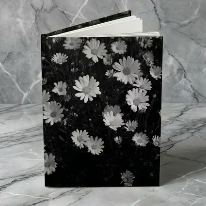 Black and White Daisy Field Floral Art
