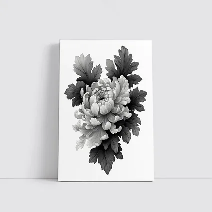 Black and White Chrysanthemum Botanical Illustration