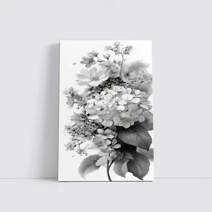 Black and White Hydrangea Botanical Floral Art