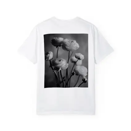 Black and White Ranunculus Flowers Soft Background