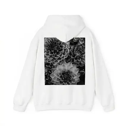 Black and White Dahlia Flowers Dark Background