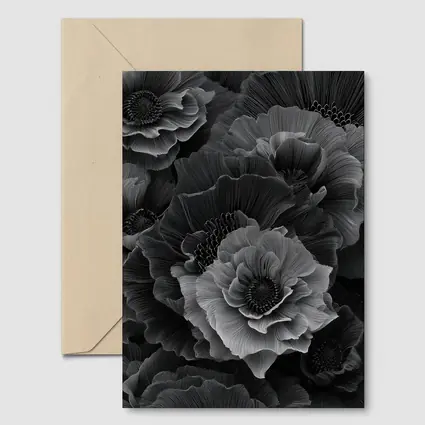 Black and White Peony Flowers Dark Art
