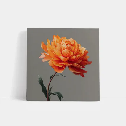 Orange Peony Flower Gray Background Art