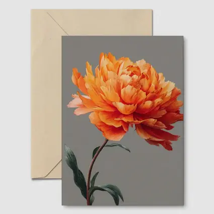 Orange Peony Flower Gray Background Art