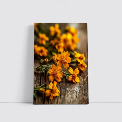 Orange Cosmos Flowers On Rustic Wood